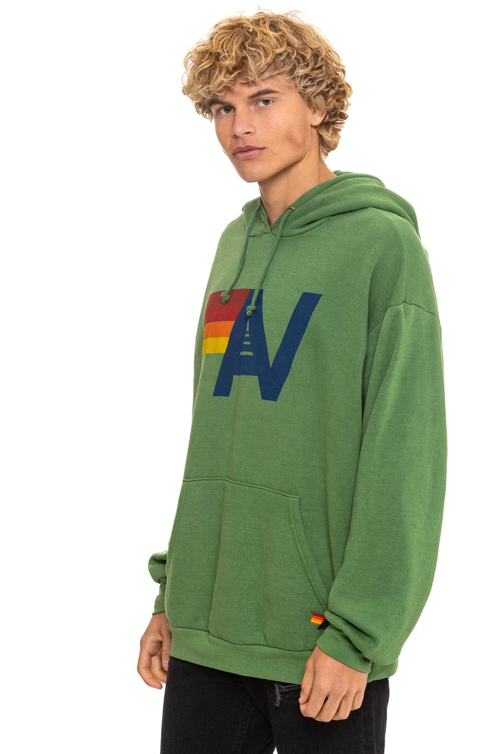 LOGO PULLOVER RELAXED HOODIE - PALM