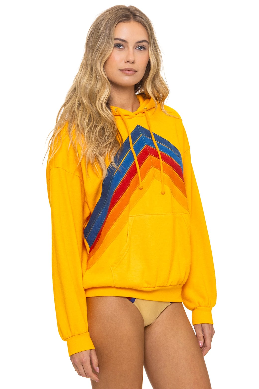 MOUNTAIN STITCH CHEVRON PULLOVER HOODIE RELAXED - GOLD