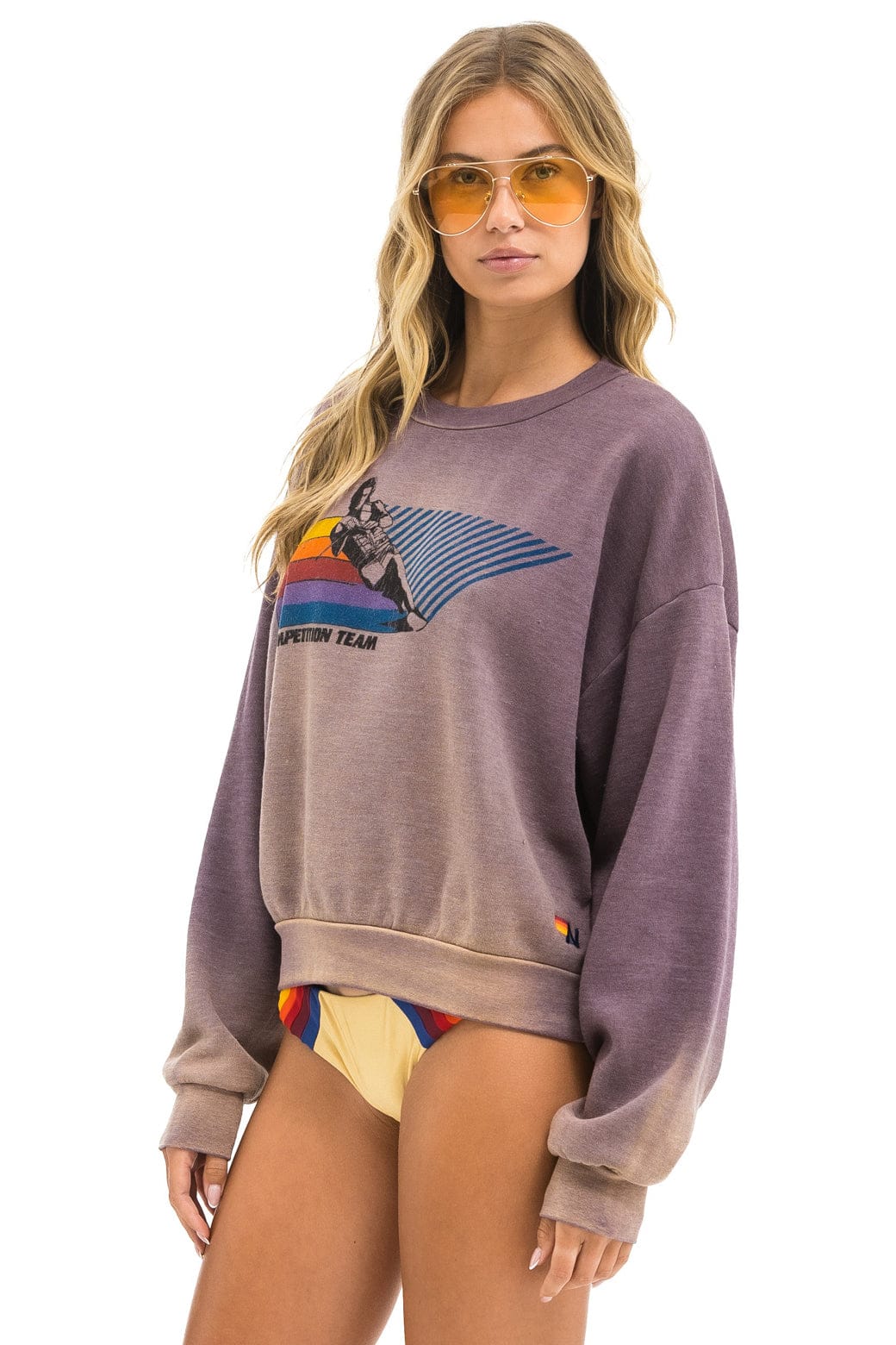WATER SKIER RELAXED CREW SWEATSHIRT - FADED MOCHA
