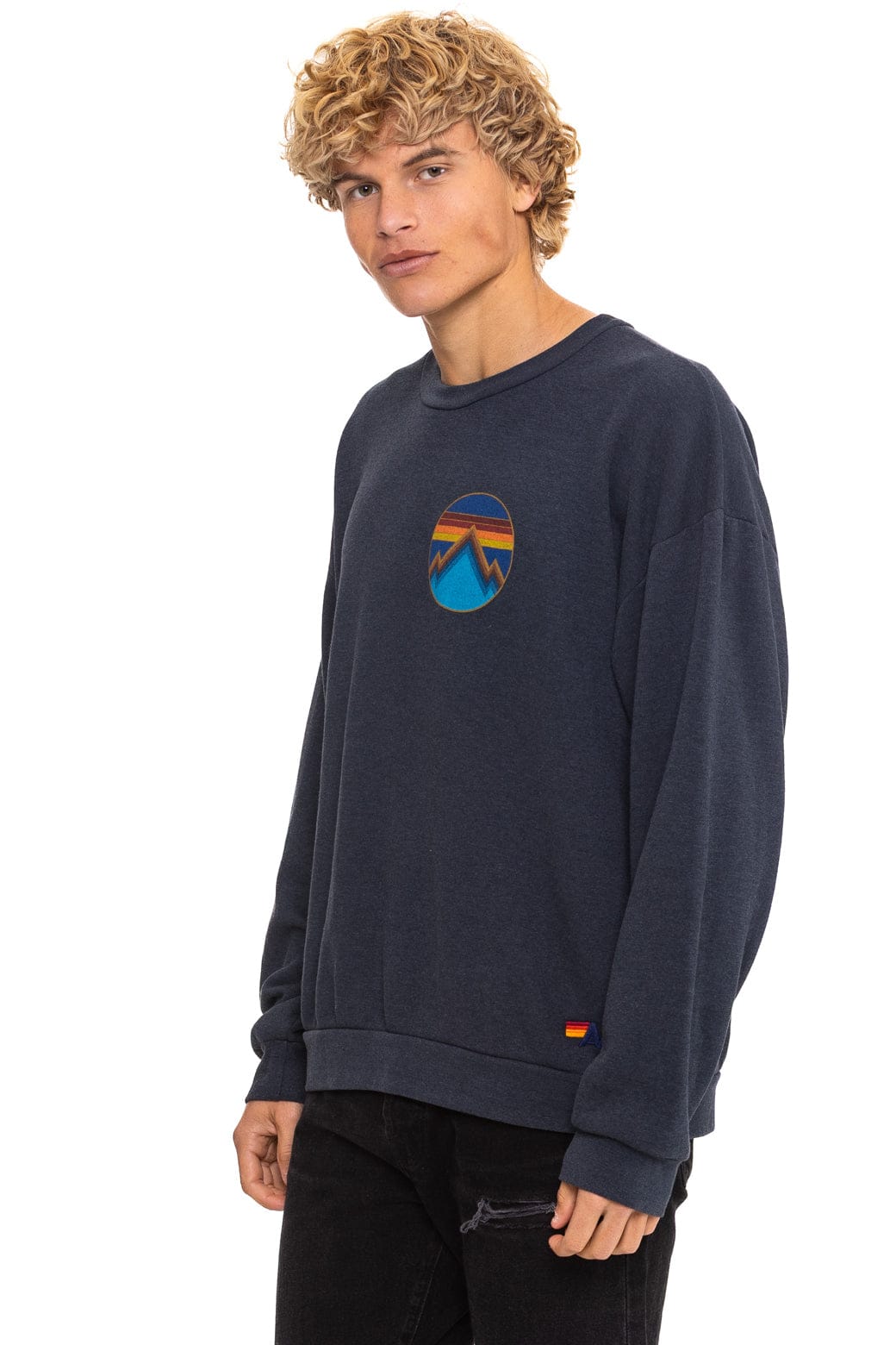 ALL SEASONS CIRCLE RELAXED CREW SWEATSHIRT - CHARCOAL