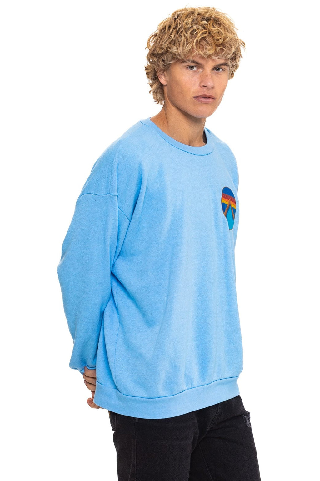 ALL SEASONS CIRCLE RELAXED CREW SWEATSHIRT - SKY