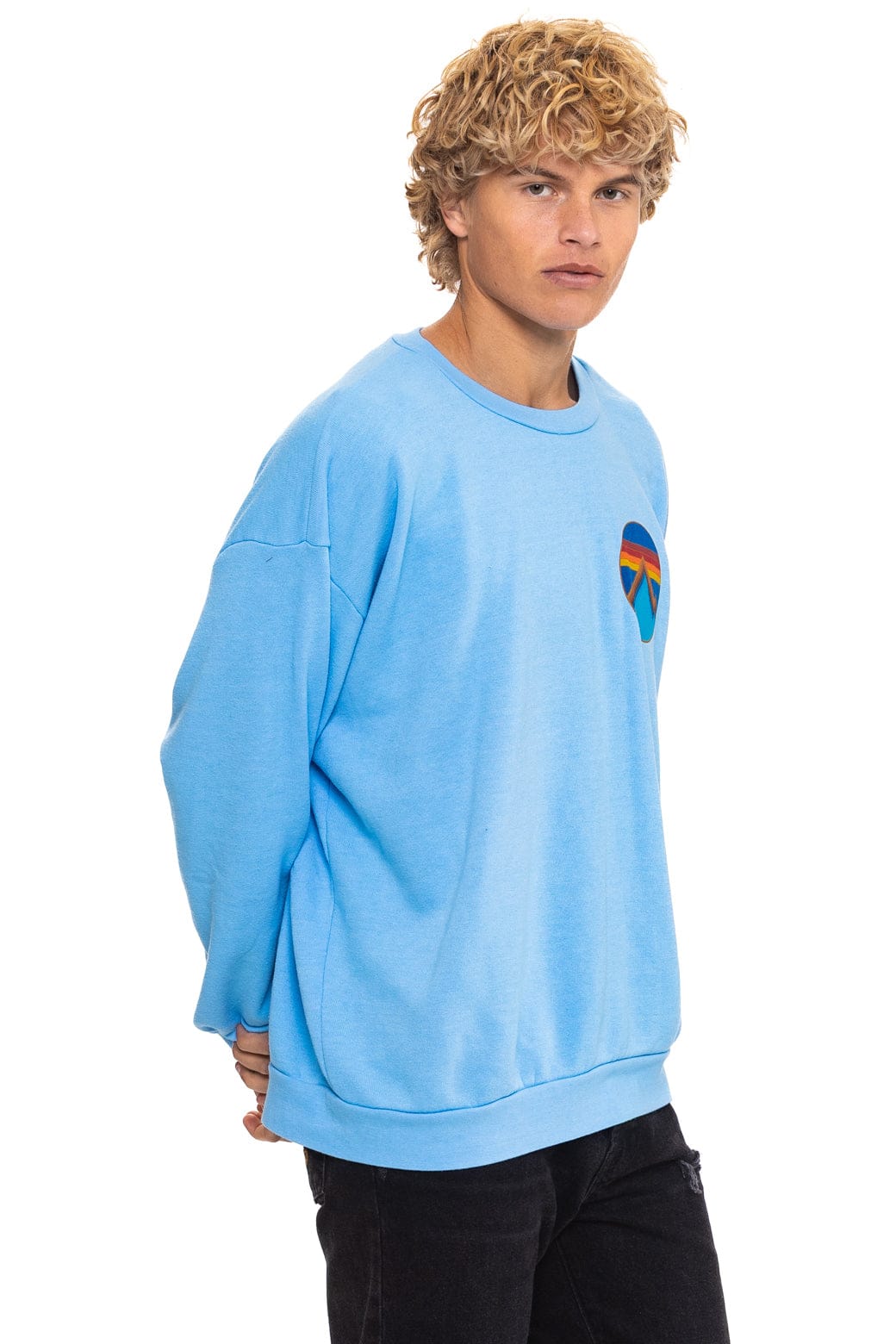 ALL SEASONS CIRCLE RELAXED CREW SWEATSHIRT - SKY