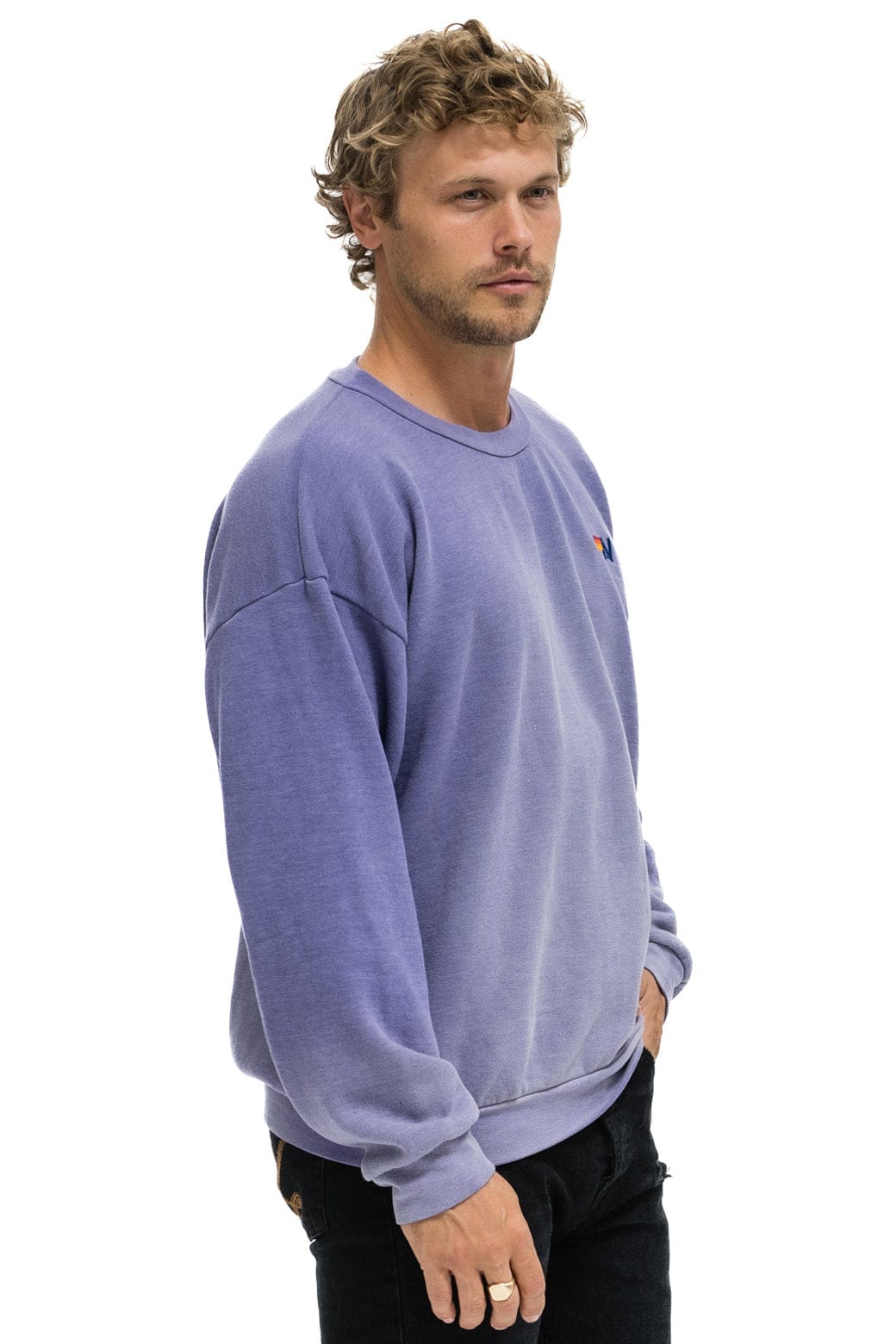 ESSENTIAL RELAXED CREW SWEATSHIRT - FADED GRAPE