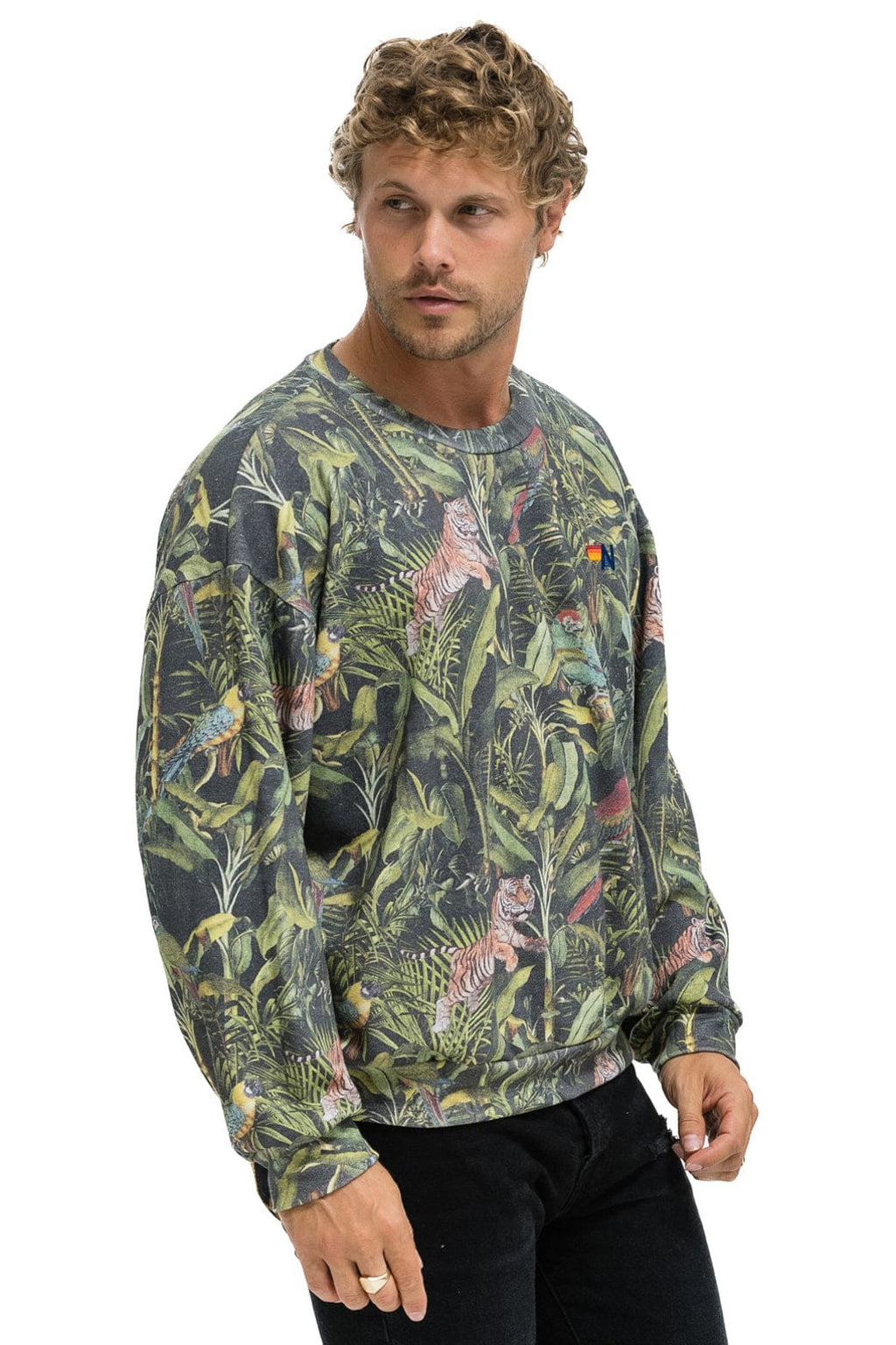 JUNGLE RELAXED CREW SWEATSHIRT - VINTAGE CHARCOAL