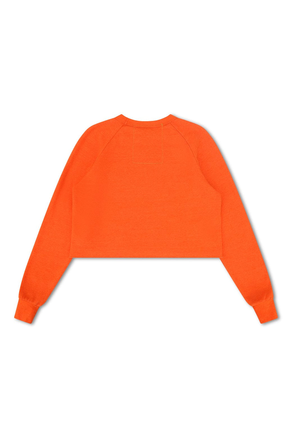 UNIVERSITY OF FLORIDA CROPPED CREW SWEATSHIRT - ORANGE