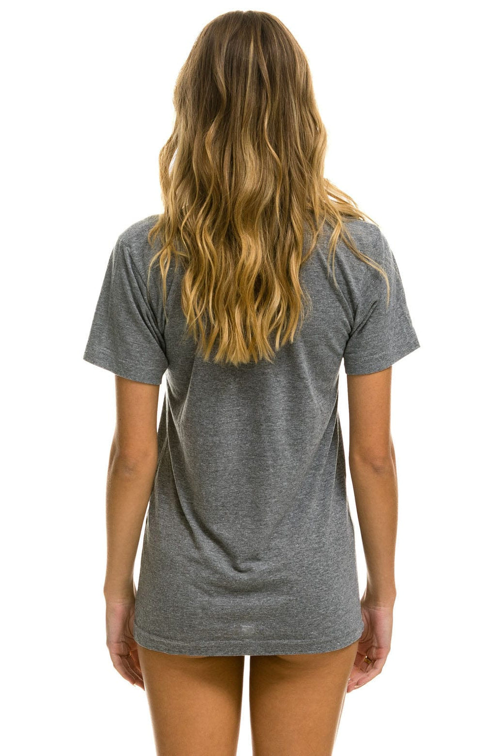 AVIATOR NATION VAIL TEE - HEATHER